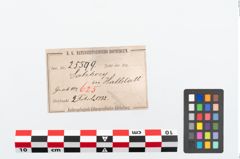 Etikett zu Bronzebrillenfibel (NHMW-PRAE-025599)